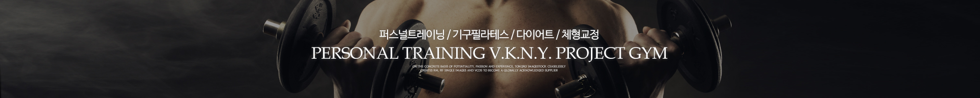비키니 프로젝트_이미지pc